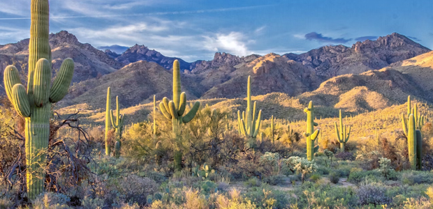 Maricopa, Az Medical Billing, Credentialing Services